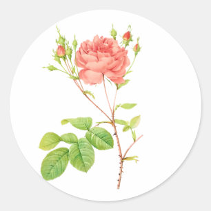 Adesivo Redondo PixDezine rosas vintage vitorianas/redoute