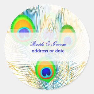 Adesivo Redondo PixDezines Pzazz Pena de Pavão/Diy cor