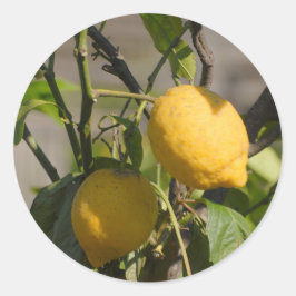Adesivo Redondo Placa gráfica de limão espanhola