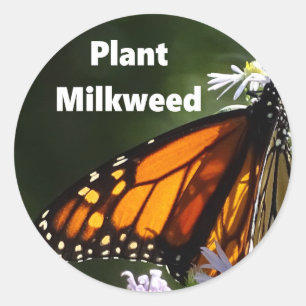 Adesivo Redondo Plant Milkweed
