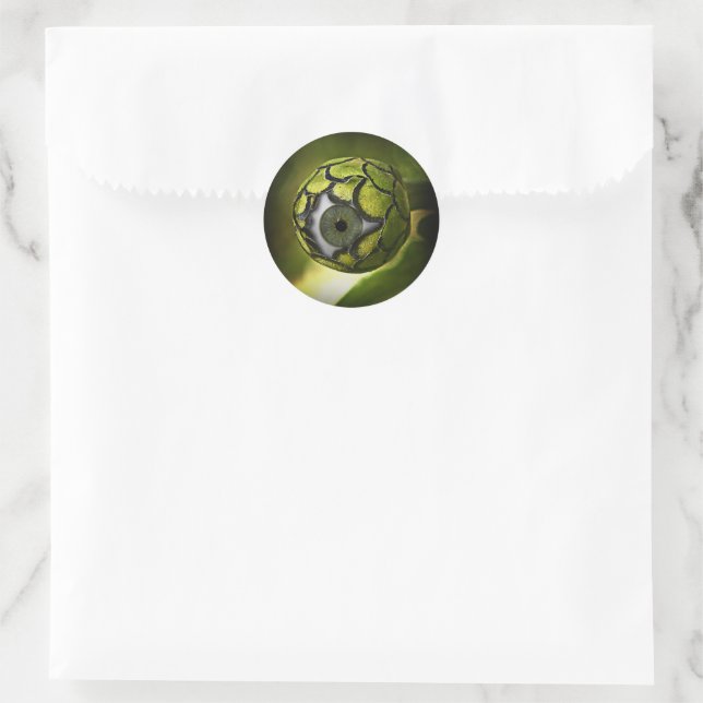 Adesivo Redondo Planta Jardim de Bolas de Olho (Bolsa)