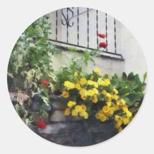 Adesivo Redondo Plantador Com Cactus De Flor Amarelo