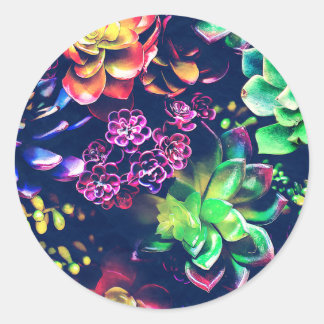Adesivo Redondo Plantas Coloridas