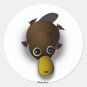 Adesivo Redondo platypus
