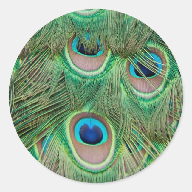 Adesivo Redondo Plumagem de peacock (Frente)