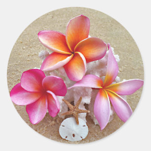 Adesivo Redondo Plumeria e conchas no Sandy Beach Sticker