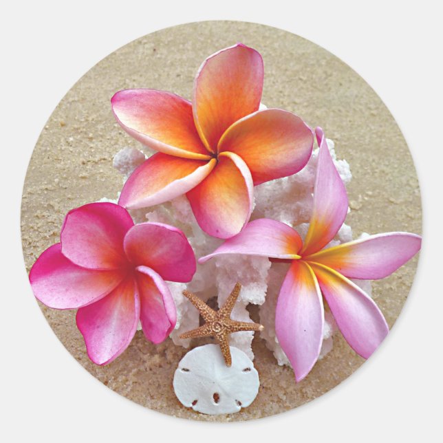 Adesivo Redondo Plumeria e conchas no Sandy Beach Sticker (Frente)