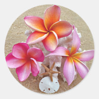 Plumeria em Prateleiras