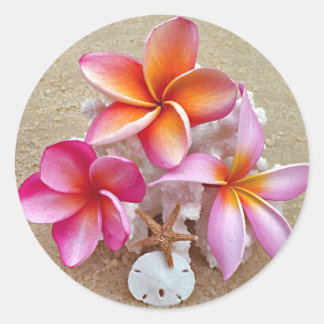 Adesivo Redondo Plumeria em Prateleiras