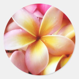 Adesivo Redondo Plumeria Frangipani Hawaii Flor Vazio Personalizad