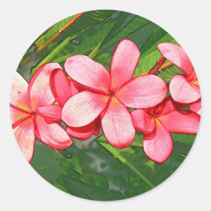 Adesivo Redondo Plumérias