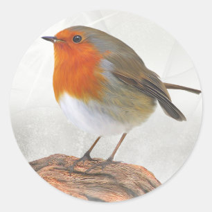 Adesivo Redondo Plump Robin Redbreast