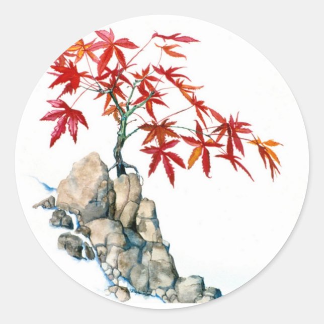 Adesivo Redondo PMACarlson Red Maple Bonsai Sticker (Frente)