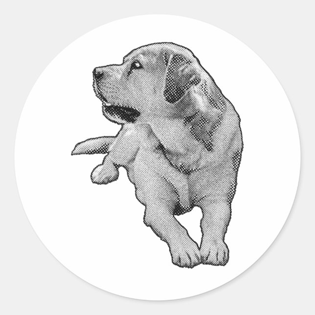 Adesivo Redondo Pocket Daydrey, Retriever (Frente)