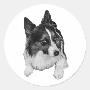 Adesivo Redondo Pocket Sticker