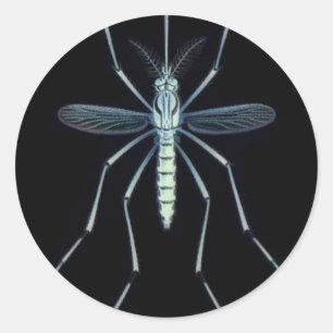 ADESIVO REDONDO PODER DE M,