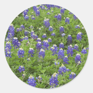 Adesivo Redondo Poder dos azuis