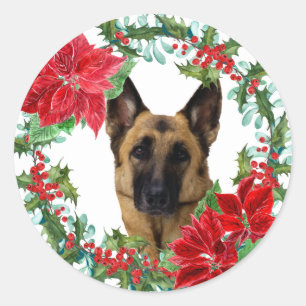 Adesivo Redondo Poinsettia German shepherd Cachorro