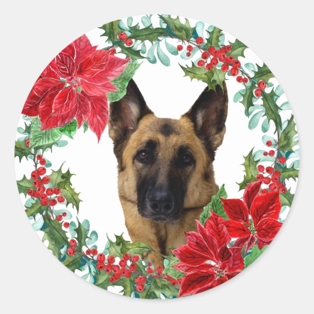 Adesivo Redondo Poinsettia German shepherd Cachorro (Frente)