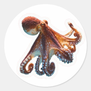Adesivo Redondo Polvo do Oceano Místico - Criatura Artística do Ma