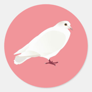 Adesivo Redondo Pombo branco (pomba)