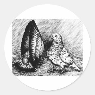 Adesivo Redondo Pombos do cilindro de salor