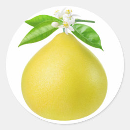 Adesivo Redondo Pomelo num galho