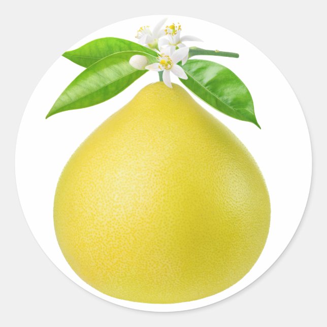 Adesivo Redondo Pomelo num galho (Frente)