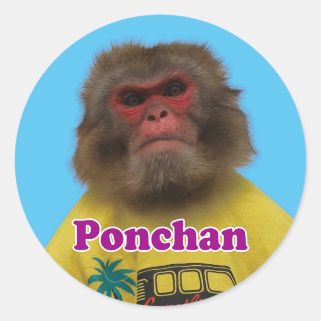 Adesivo Redondo Ponchan sticker.　ぽんちゃんシール (Frente)