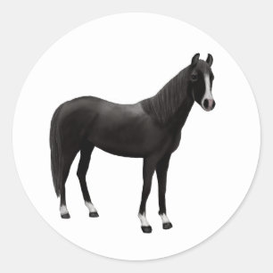 Adesivo Redondo Pônei Equestre Cavalo Preto Ocidental