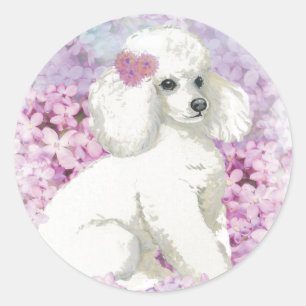 Adesivo Redondo Poodle Branco na Arte Lilacs e Presentes