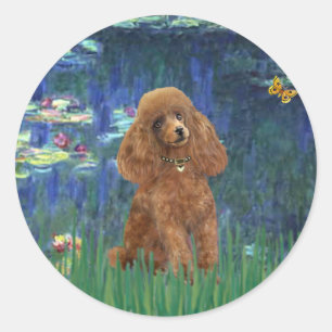 Adesivo Redondo Poodle (Damasco 10) - Lírios 5