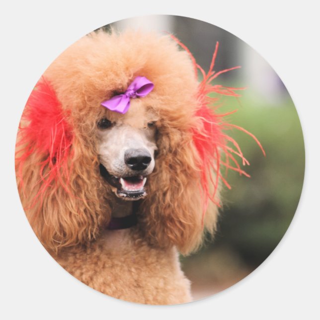 Adesivo Redondo Poodle Day 2010 #1 (Frente)