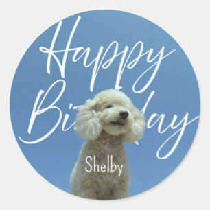 Adesivo Redondo Poodle Personalizado Feliz Aniversário Céu Azul Fo