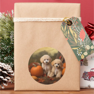 Adesivo Redondo Poodle Puppy Autumn Delight Pumpkin