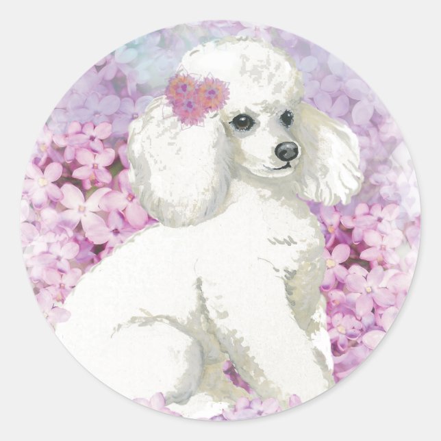 Adesivo Redondo Poodle White na Arte Lilacs e Presentes (Frente)