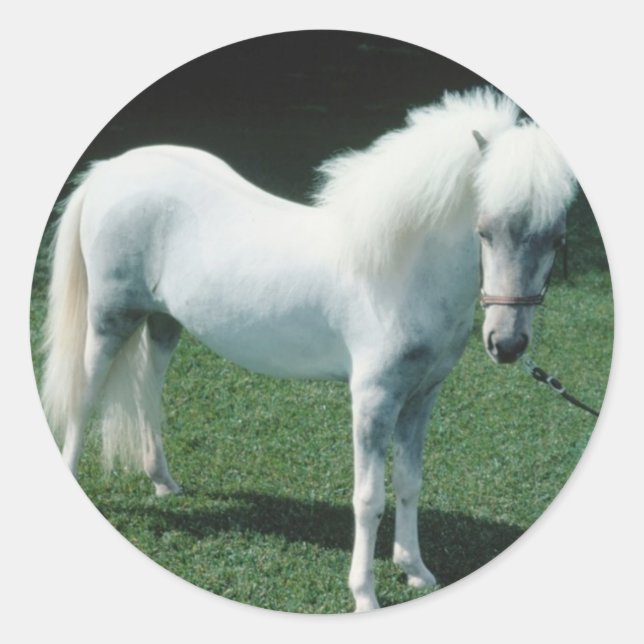 Adesivo Redondo Poofy White Pony (Frente)