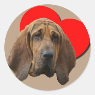 Adesivo Redondo PopArt Colorida Bloodhound Heart Art Art