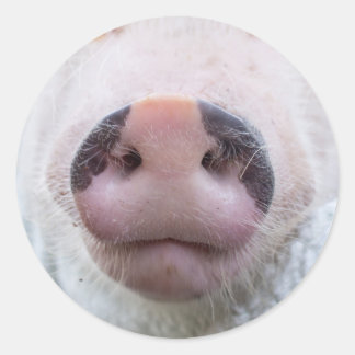 Adesivo Redondo Poppy e Podrick Sticker