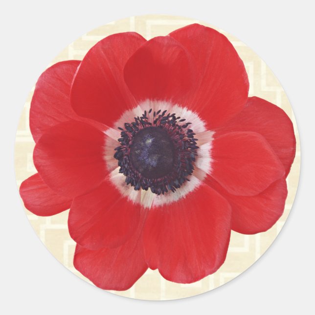 Adesivo Redondo Poppy em Beige (Frente)