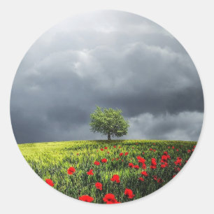 Adesivo Redondo Poppy Field e Cloudy Sky