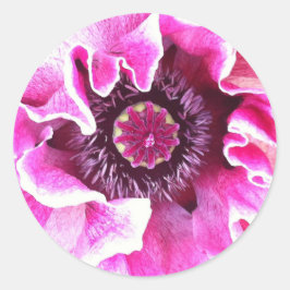 Adesivo Redondo Poppy Sticker