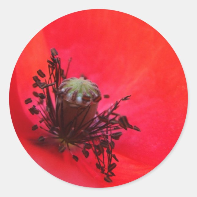Adesivo Redondo Poppy Stickers (Frente)