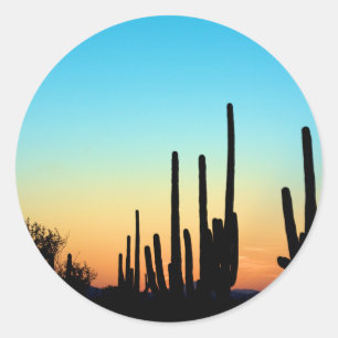 Adesivo Redondo Por do sol do Saguaro