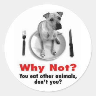 Adesivo Redondo Por Que Não? (Versão do adesivo)