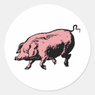 Adesivo Redondo Porco porca pig hog