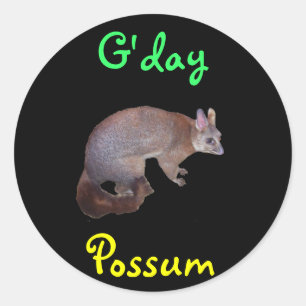Adesivo Redondo Possum