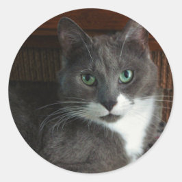 Adesivo Redondo Posty