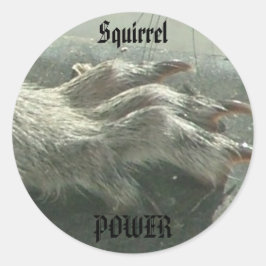 Adesivo Redondo Potência de esquilo