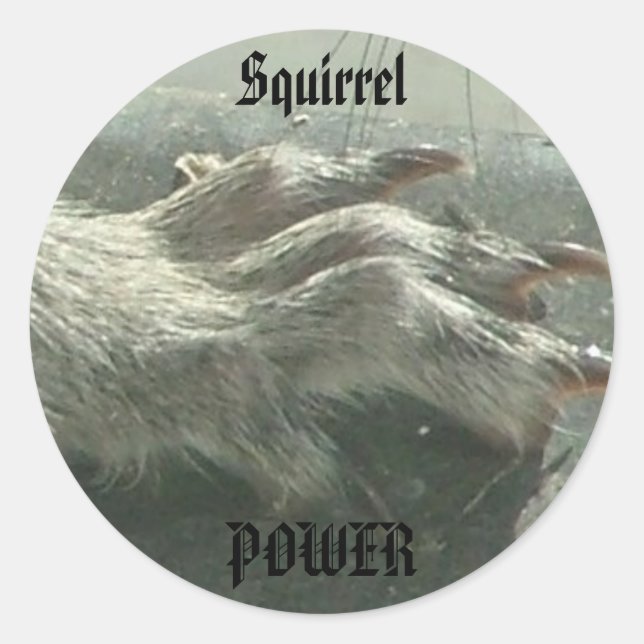 Adesivo Redondo Potência de esquilo (Frente)